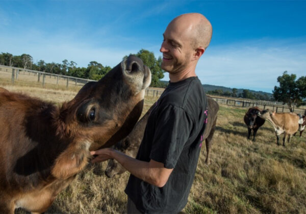 Kyle Berhred and Mixie, a rescued cow, at Edgar's Mission.