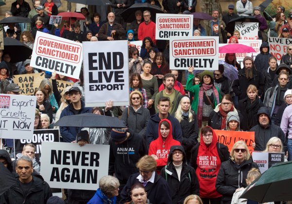 Live Export Protest in Sydney.