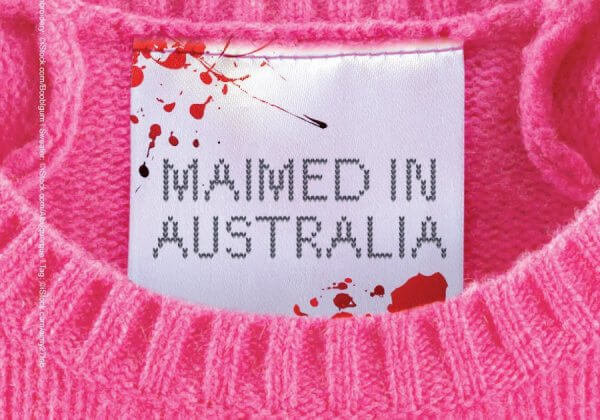 ‘Maimed in Australia’: New Ad Targets the Wool Industry