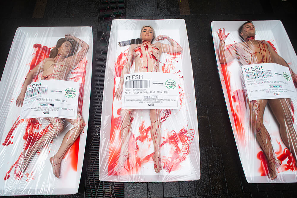 three PETA activists lie in human sized meat trays