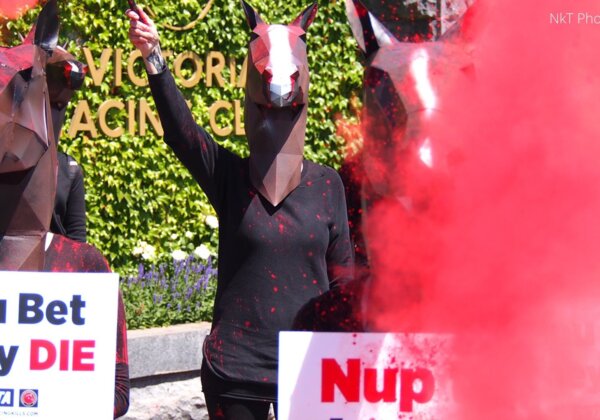 Melbourne Cup Protest.