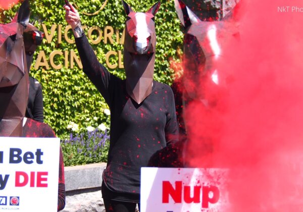 Melbourne Cup Protest: Activists Crack ‘Bloody Horse Whips’ Outside Flemington