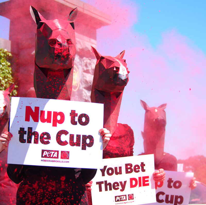 Protesters outside of Flemington ahead of Melbourne Cup.