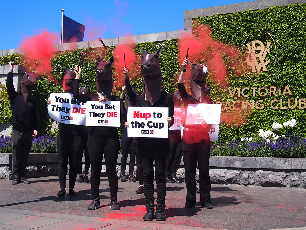 Protesters outside of the Melbourne Cup.