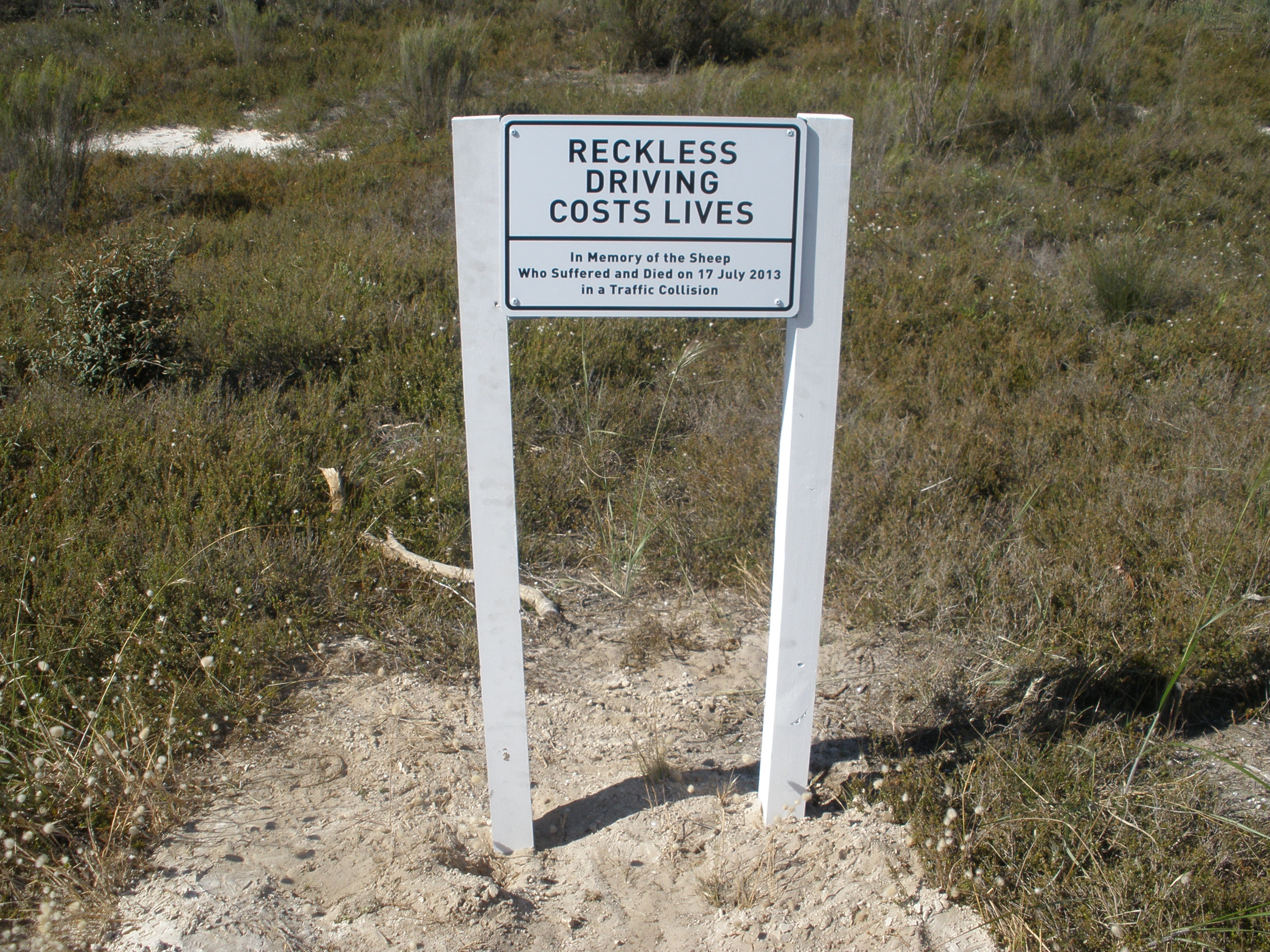 PETA Roadside Memorial Reminds People to Consider Animals