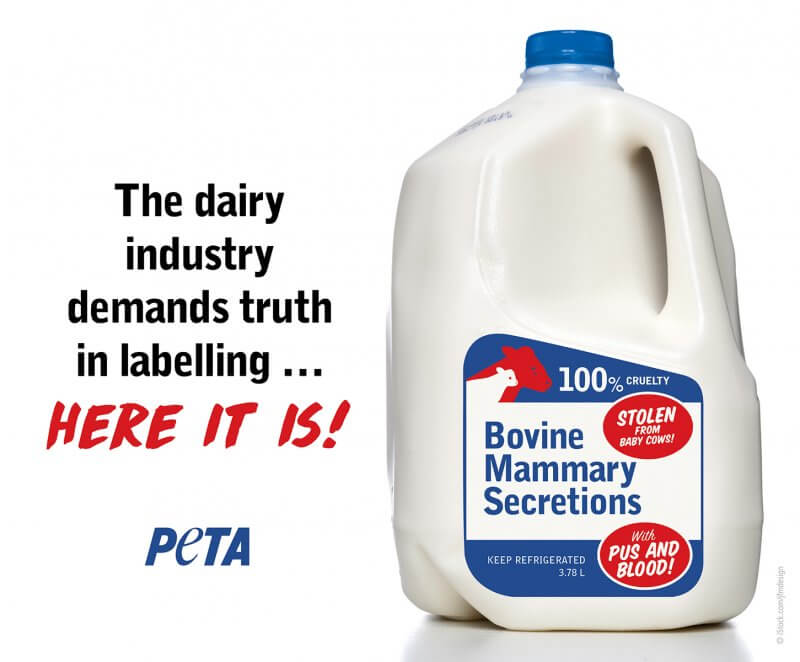 How Cows' Milk SHOULD Be Labelled News PETA Australia