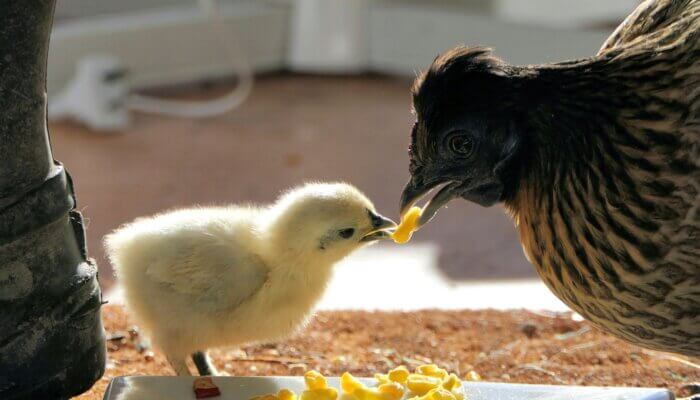 This Mother’s Day, Remember: Others Are Mothers Too!
