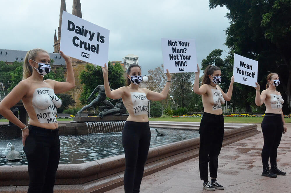 Vegan Mothers Bare Chests in Sydney to Highlight Dairy Industry Abuse