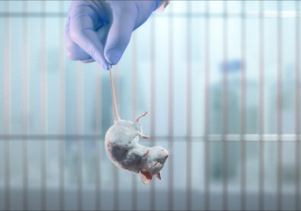 PETA's new video says: mice are smart and adorable, and there's no valid reason to use and kill them in laboratory experiments.