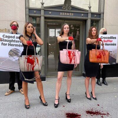 Protesters outside the Hermès store in NYC.