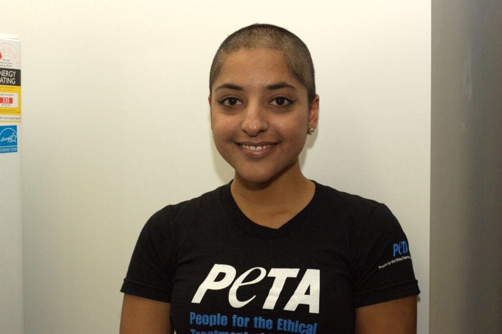 shaved head peta fundraiser