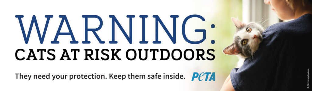 Outdoor Cat PETA billboard