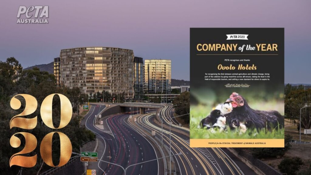 Ovolo Hotel with PETA certificate inset.