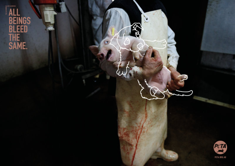 In abattoirs, pigs and cows are hoisted upside down by their back legs and their throats are cut, even though they often haven't been properly stunned. If you aren't already repulsed by that fact, would it shock you if the victim were instead a dog? Shocking new PETA ads aim to challenge viewers to question why they love some animals but eat others.