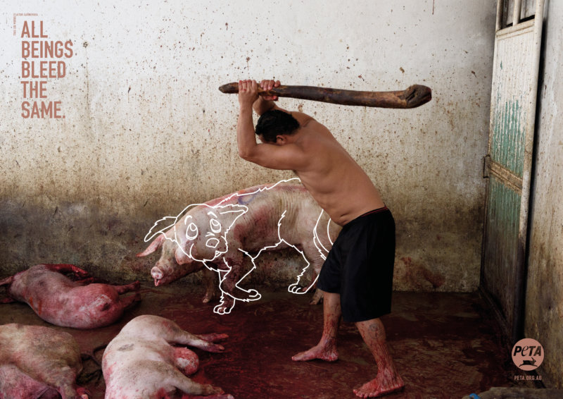 In abattoirs, pigs and cows are hoisted upside down by their back legs and their throats are cut, even though they often haven't been properly stunned. If you aren't already repulsed by that fact, would it shock you if the victim were instead a dog? Shocking new PETA ads aim to challenge viewers to question why they love some animals but eat others.