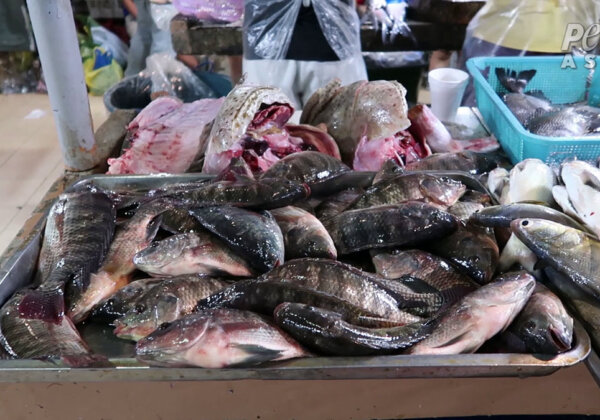 Fish on a tray, still breathing, at a wet market in the Philippines.