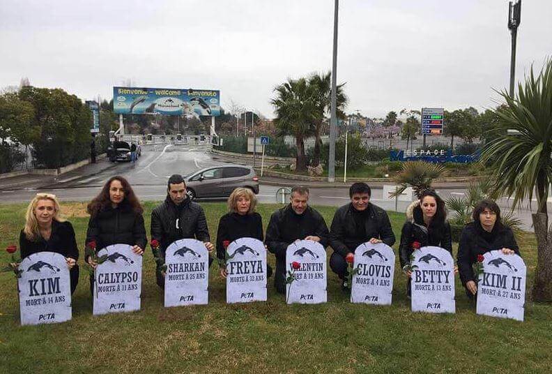 PETA protesters at Marineland