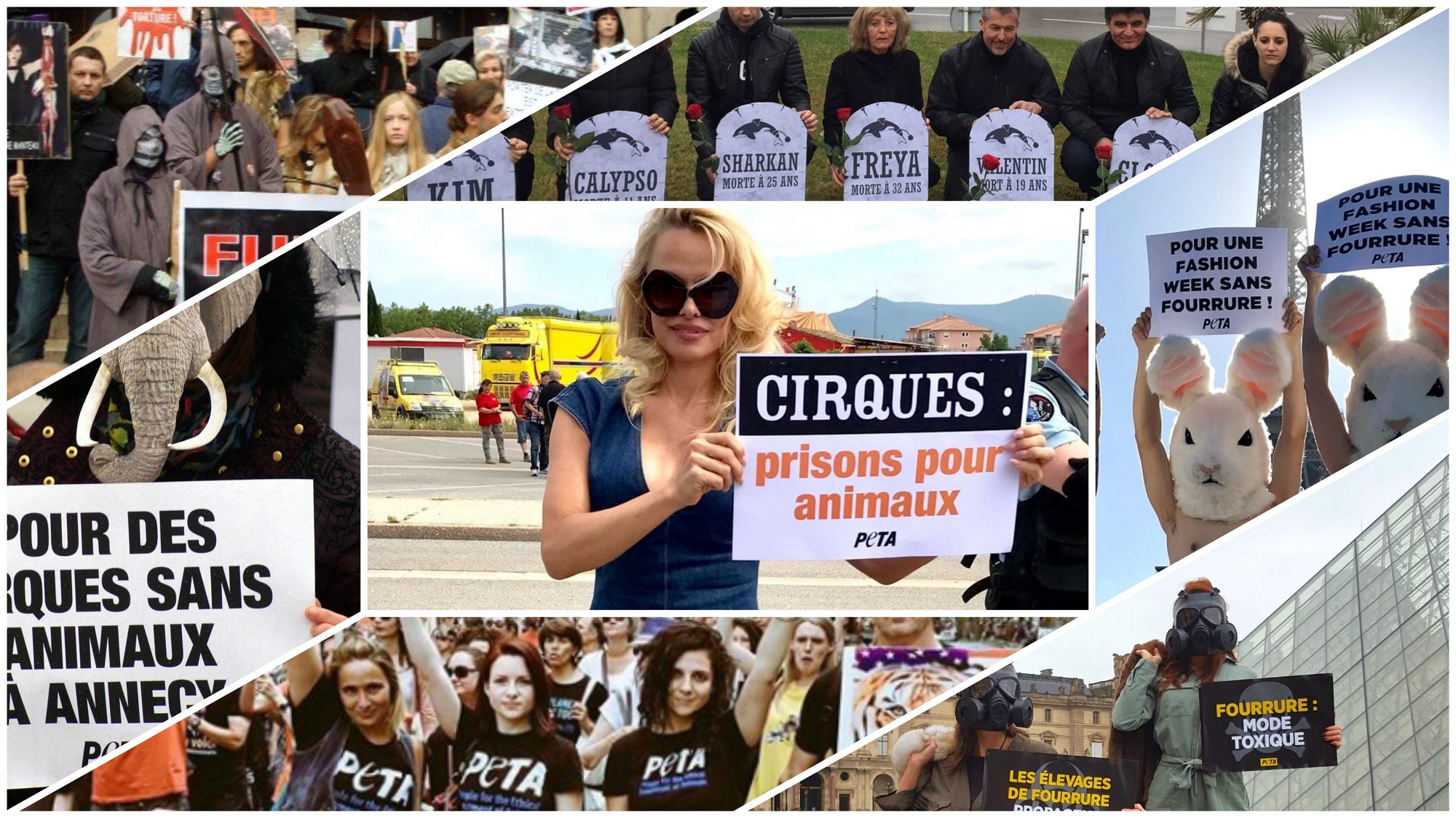 Image is a collage of PETA France demonstrations.