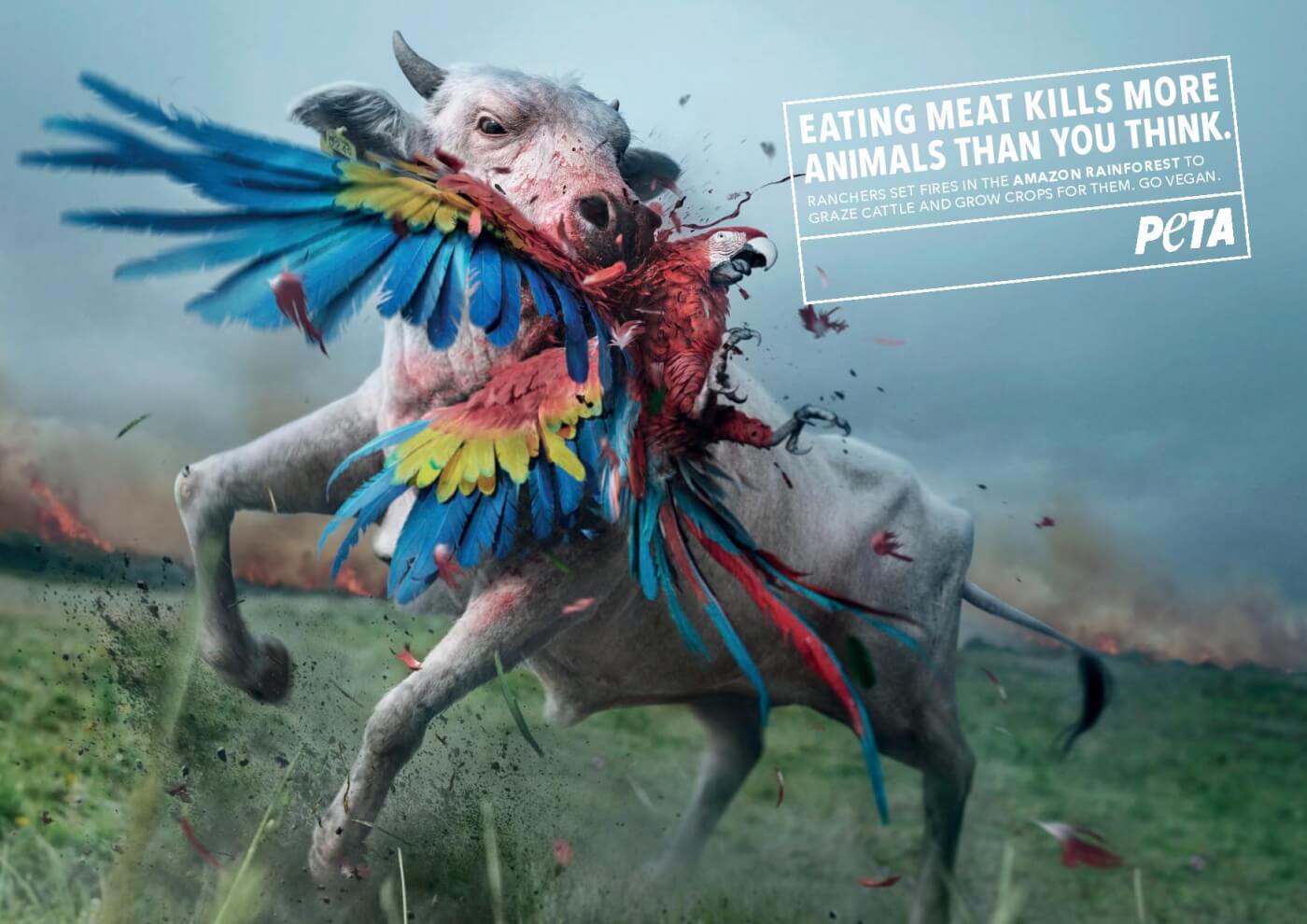 PETA’s New Ad Blames Meat-Eaters for Amazon Fires