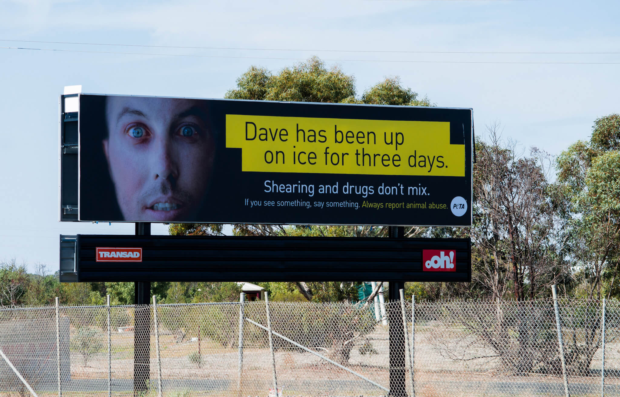 Billboard Urges Shearers to Report Drug Use Ahead of Cruelty-to-Sheep Sentencing