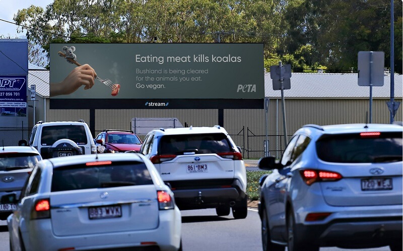 An Uncomfortable Truth for World Environment Day: Eating Meat Kills Koalas