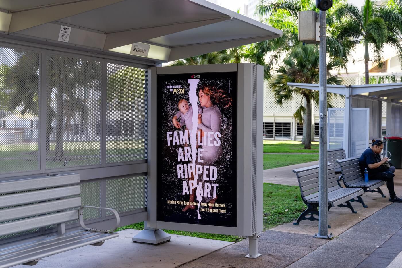 Families Ripped Apart: Anti–Marine Park Message Arrives on Seaworld Drive