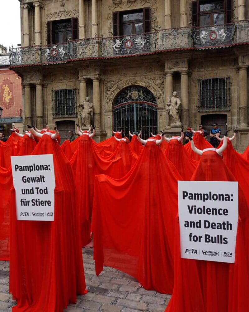 Veiled Activists See Red in Pamplona