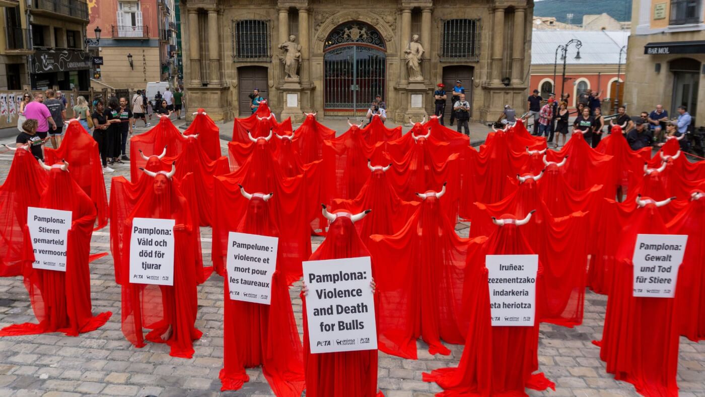 Veiled Activists See Red in Pamplona