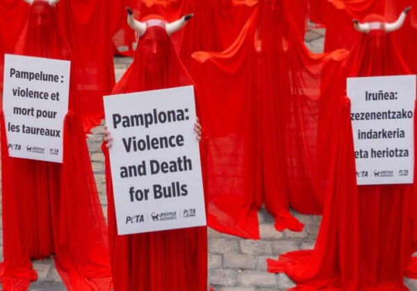 Veiled Activists See Red in Pamplona