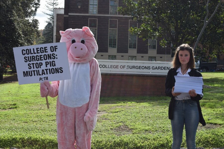 PETA RACS Petition Delivery