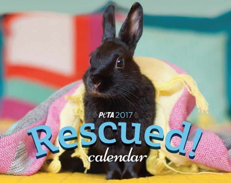 PETA Rescued calendar 2017