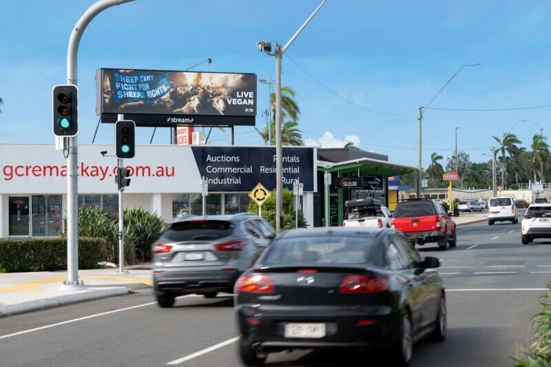PETA's new billboard in Mackay, Queensland.