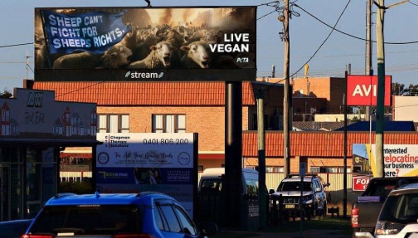 Sheep Rights Billboard Campaign Fires Up Lamb-Eating Aussies