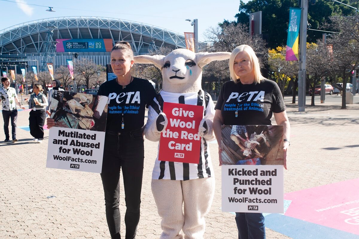 Crowds entering Stadium Australia on the opening day of the FIFA Women’s World Cup were confronted by PETA’s sheep mascot, Lucy, and her anti-wool message.
