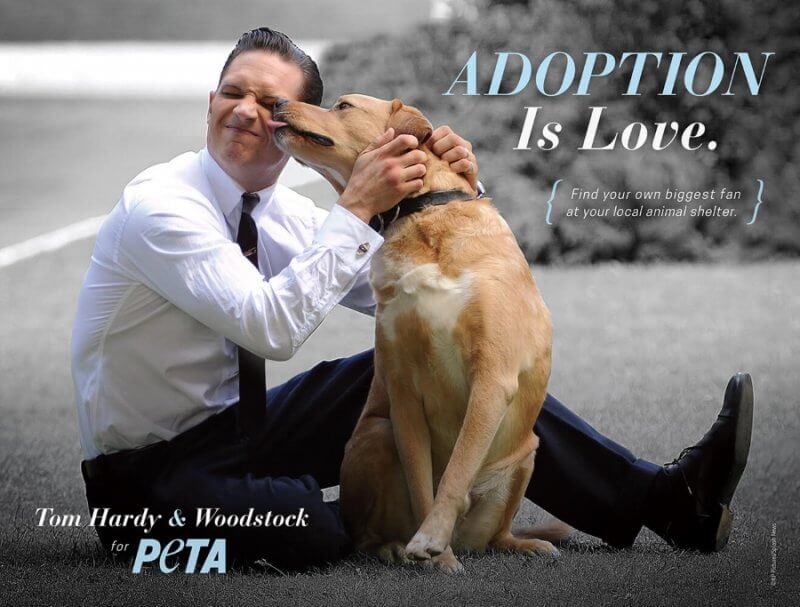 PETA Tom Hardy Ad