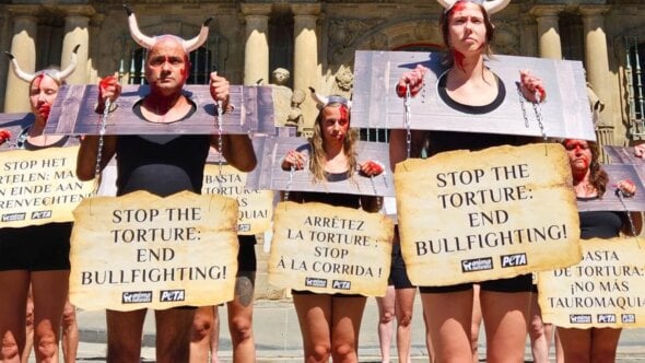 Pamplona’s Running of the Bulls Protested