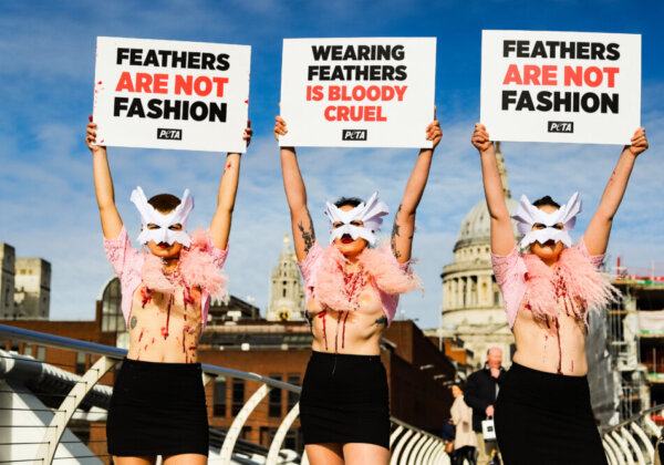 Ostrich Feathers Are Out at Melbourne Fashion Week