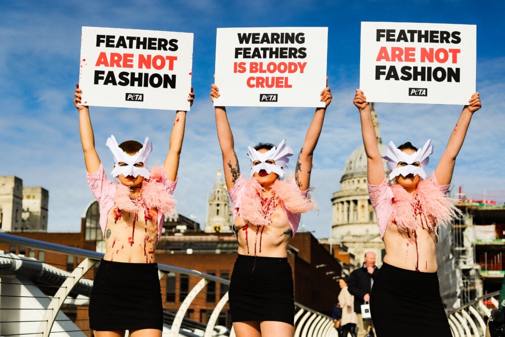 Ostrich Feathers Are Out at Melbourne Fashion Week