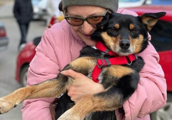 Crisis in Ukraine: PETA Germany Helping Animals and Their Families Fleeing War