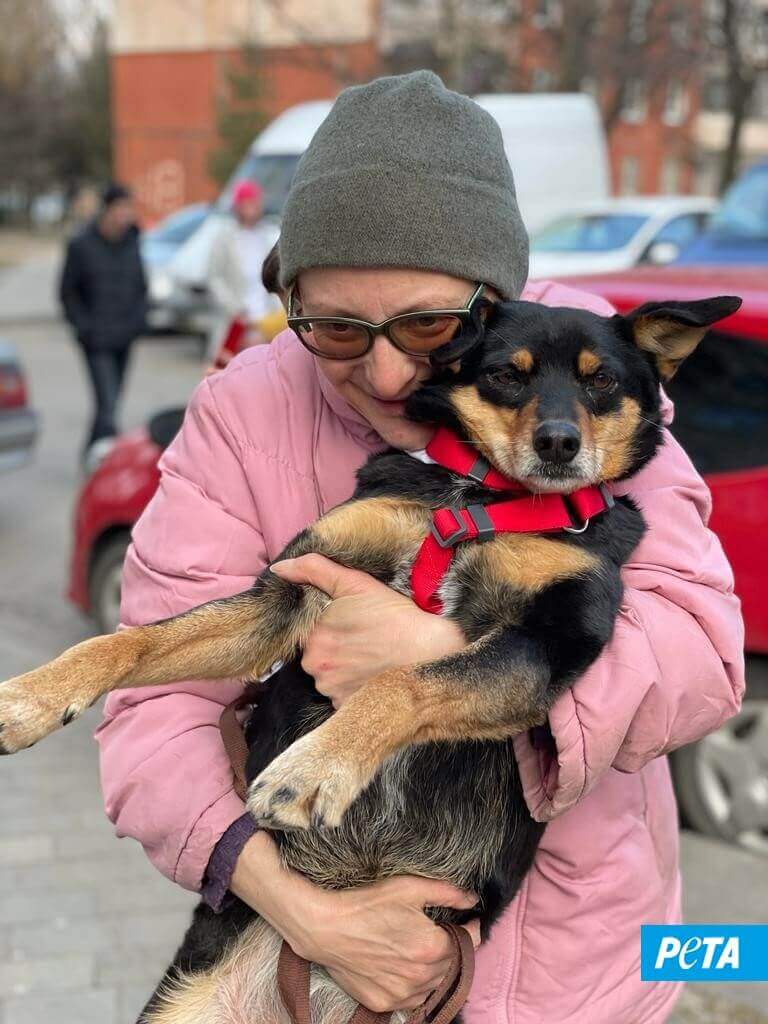 Rescued dog Mishka