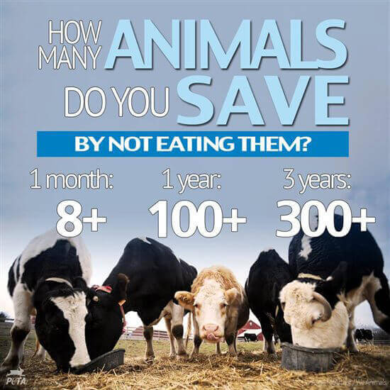 How Many Animals Will You Save by Going Vegan in 2016? How Many Animals Will You Save by Going Vegan in 2016?