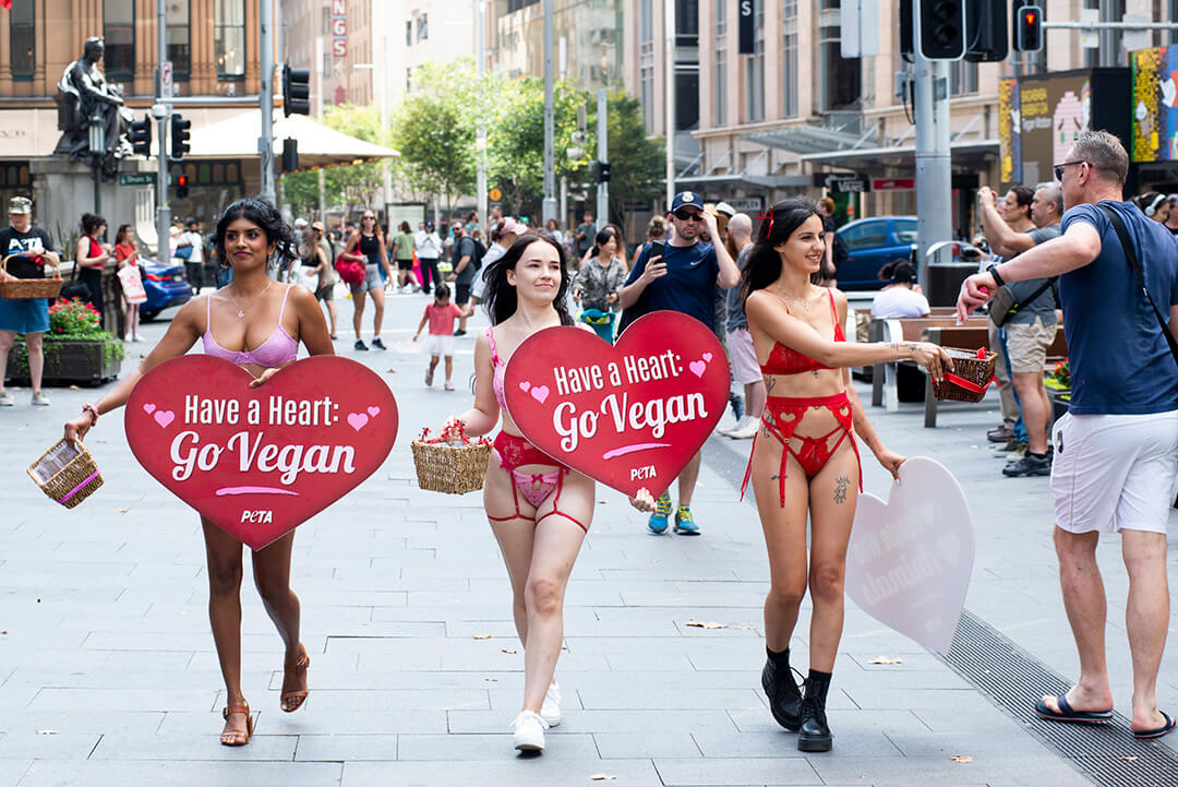 PETA activists at Town Hall in Sydney. Signs read: "Have a Heart Go Vegan," and "I Love People Who Love Animals"