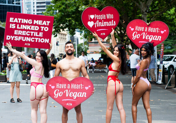 Lingerie-Clad Protesters Hand Out Condoms With Vegan Message