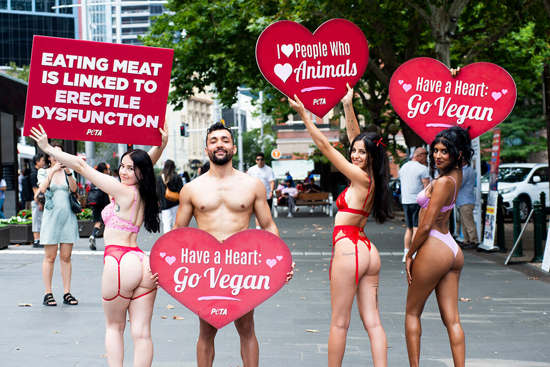 PETA activists at Town Hall in Sydney. Signs read: "Eating Meat is Linked to Erectile Dysfunction", "Have a Heart Go Vegan," and "I Love People Who Love Animals"