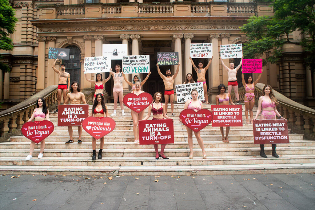 A group of 17 activists on the steps of Sydney Town Hall, all wearing underwear and holding various signs.