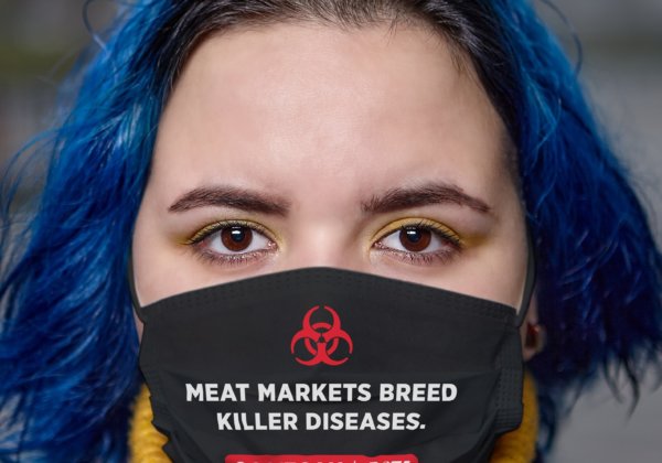 Coronavirus Outbreak Is Linked to Eating Animal Flesh