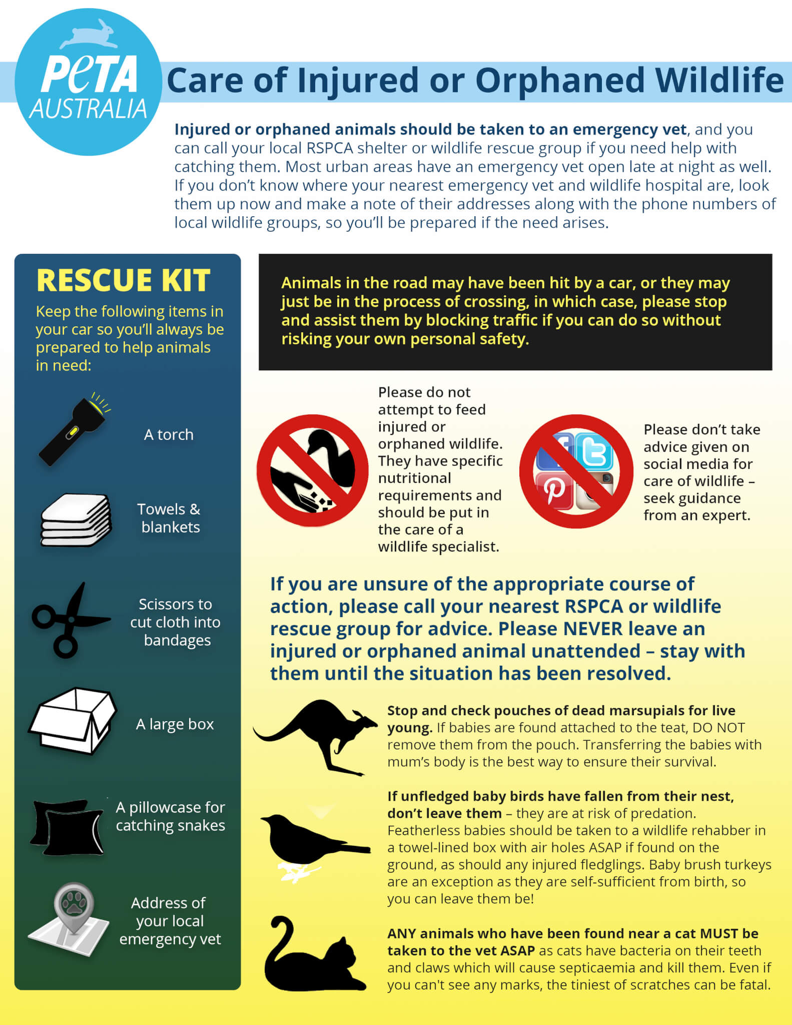 PETA Australia Injured Wildlife Infographic