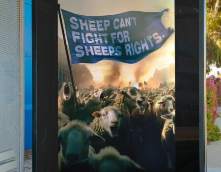 Gradient background with a white rabbit silhouette and the text ‘PETA.’