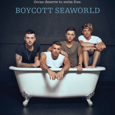 Union J in a bathtub to protest SeaWorld.