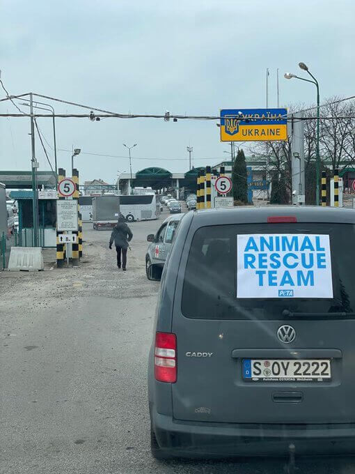 PETA Germany's car crossing the border